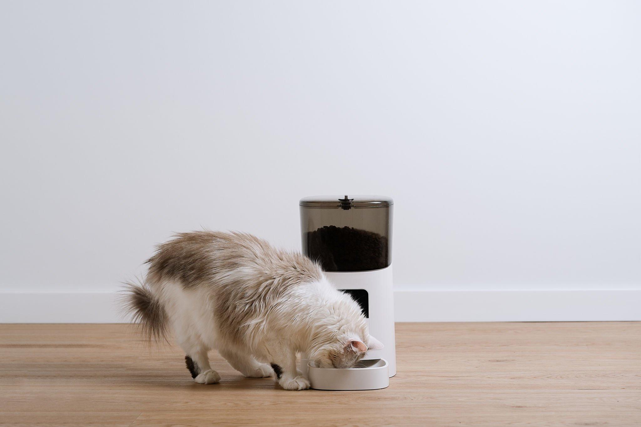 WOPET 7L Programmable Automatic Cat feeder device