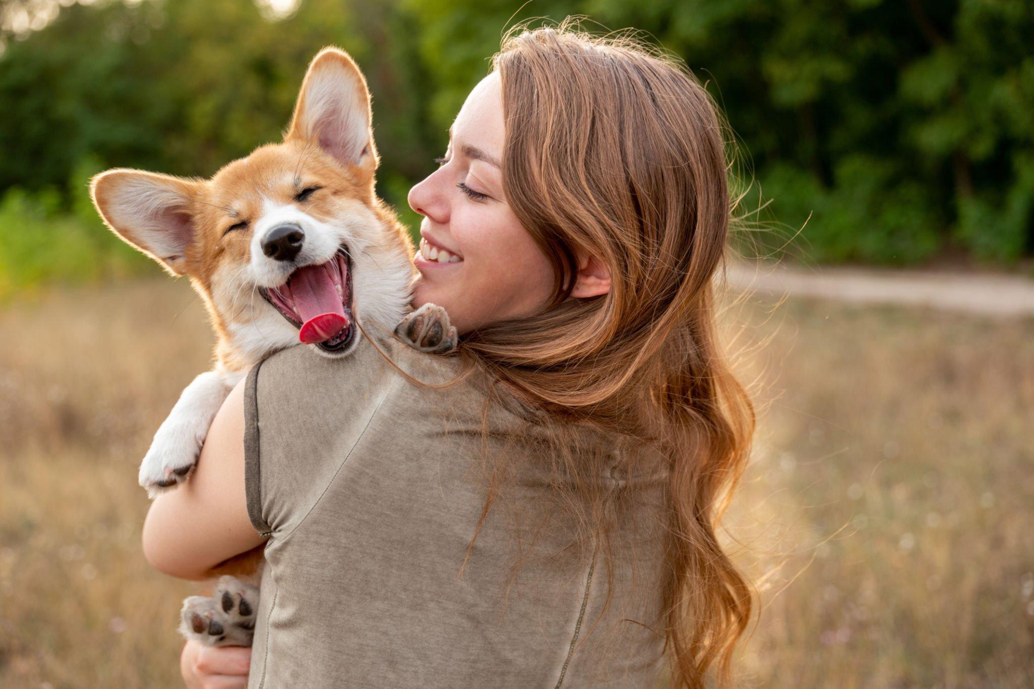 How you can Examine Your own Pet’s Attention Wellness
